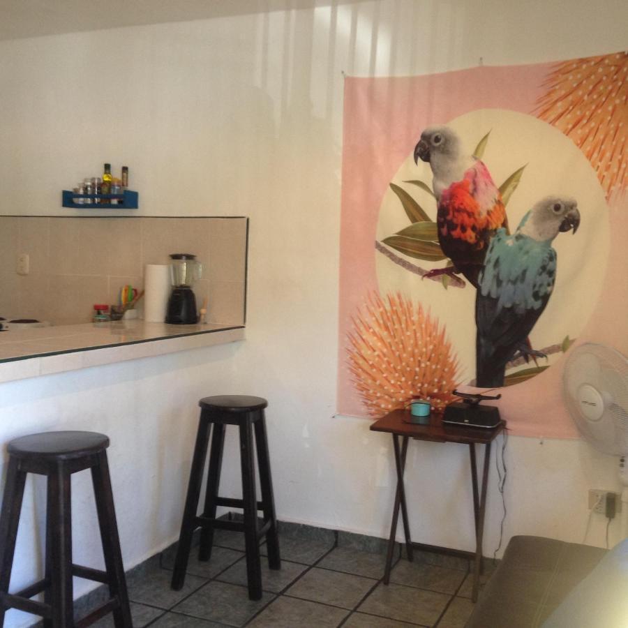 Casa De Hojas Apartman Playa del Carmen Kültér fotó